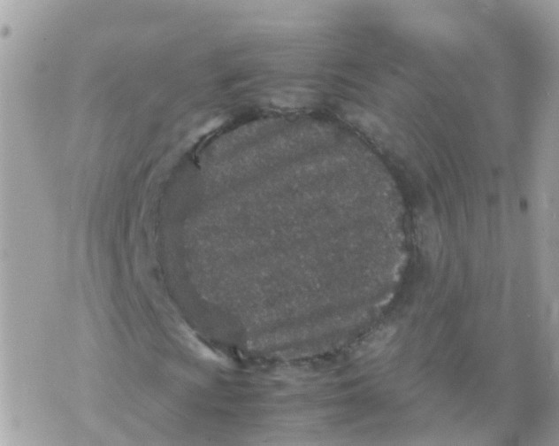 X0000070411009200606302031