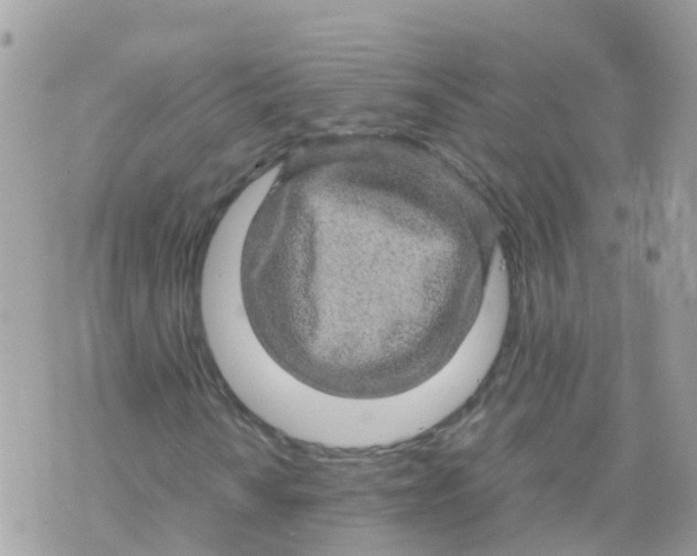 X0000070411010200606302031