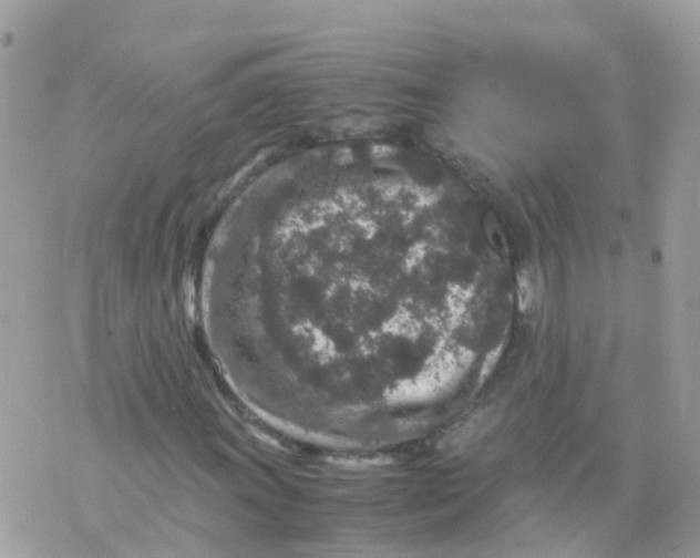 X0000070411011200606302031