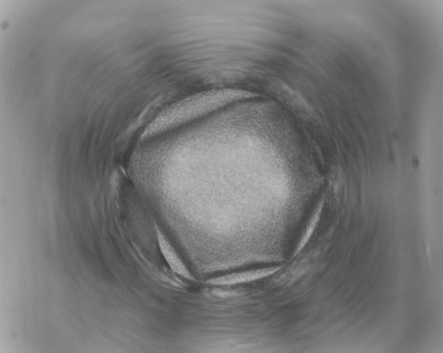 X0000070411012200606302031