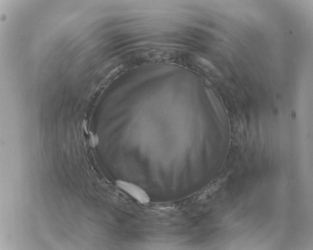 X0000070411013200606302031