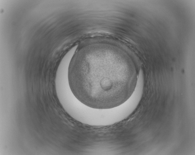 X0000070411014200606302031