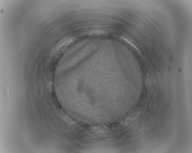 X0000070411015200606302031