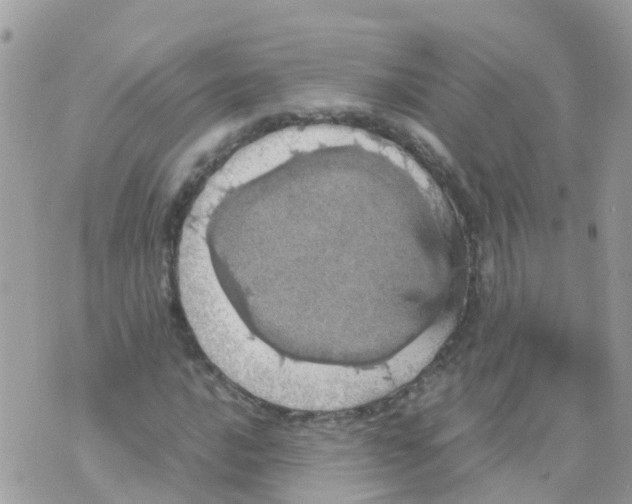 X0000070411016200606302031