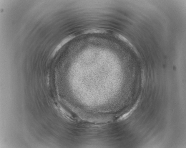 X0000070411017200606302031