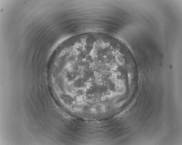 X0000070411019200606302031