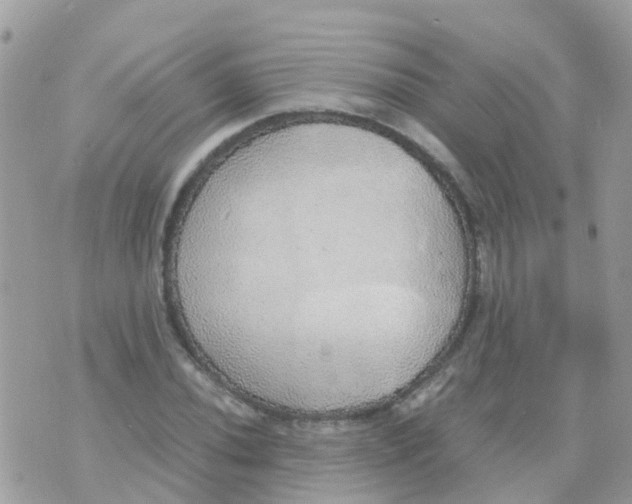 X0000070411020200606302031