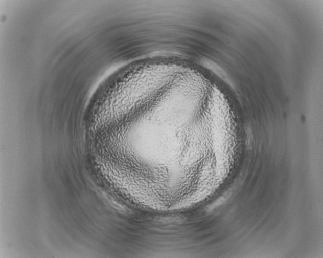 X0000070411021200606302031