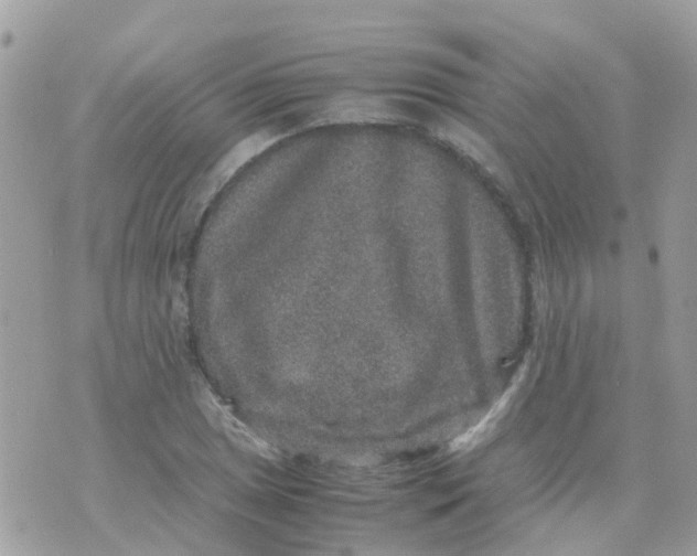 X0000070411025200606302031