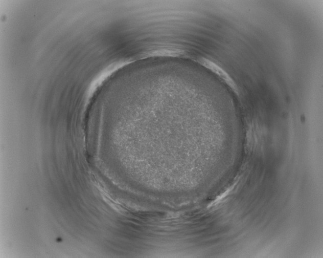 X0000070411027200606302031