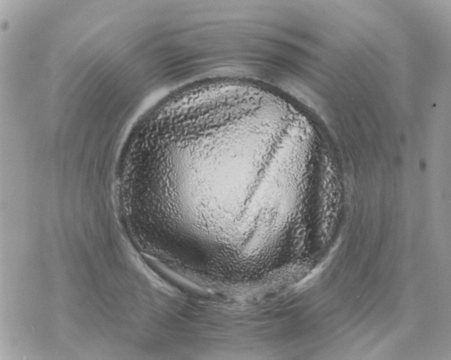 X0000070411029200606302031