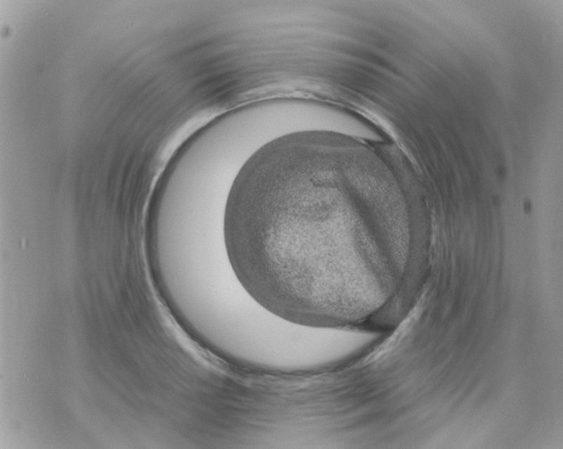 X0000070411034200606302031