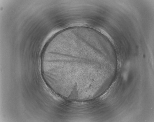 X0000070411035200606302031