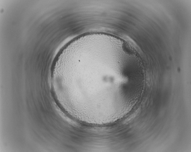 X0000070411036200606302031