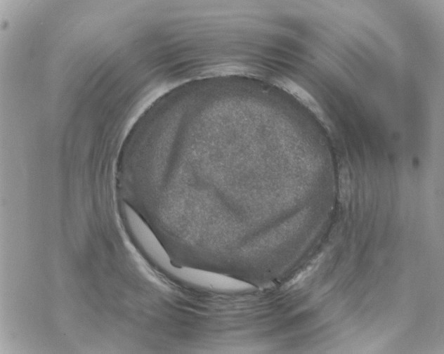 X0000070411039200606302031