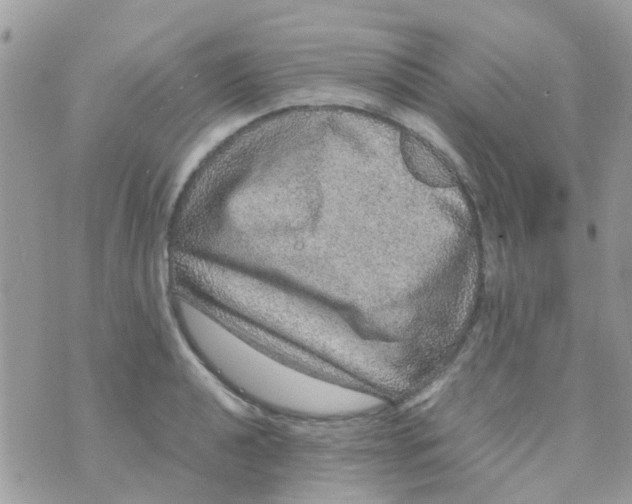 X0000070411040200606302031