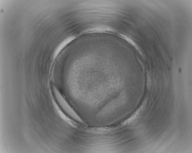 X0000070411042200606302031