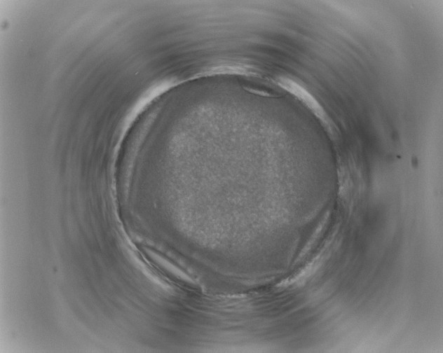 X0000070411043200606302031