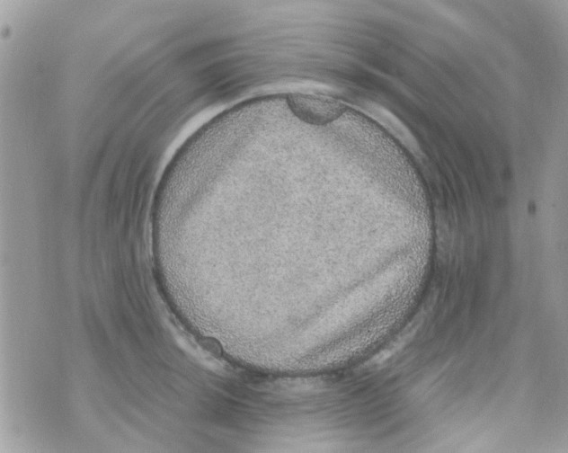 X0000070411044200606302031