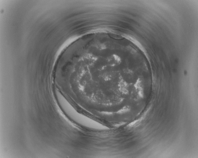 X0000070411045200606302031