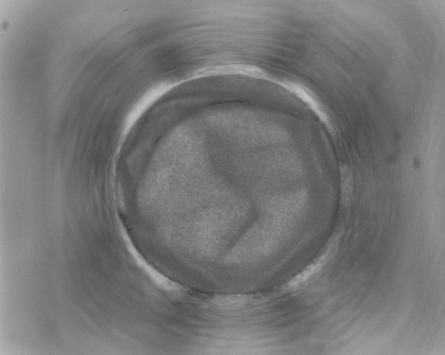 X0000070411046200606302031