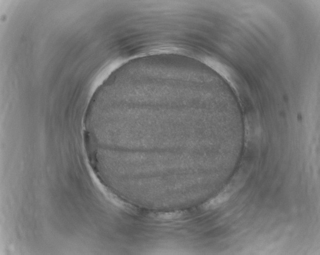 X0000070411047200606302031