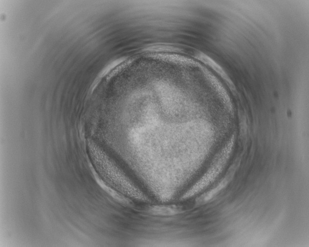 X0000070411049200606302031