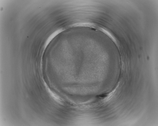 X0000070411050200606302031