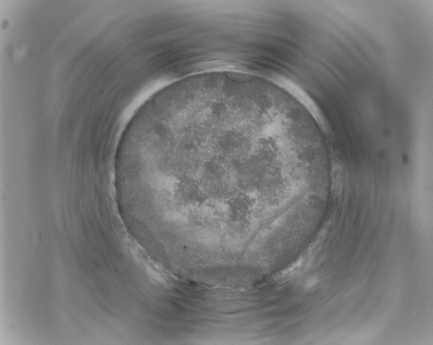 X0000070411051200606302031