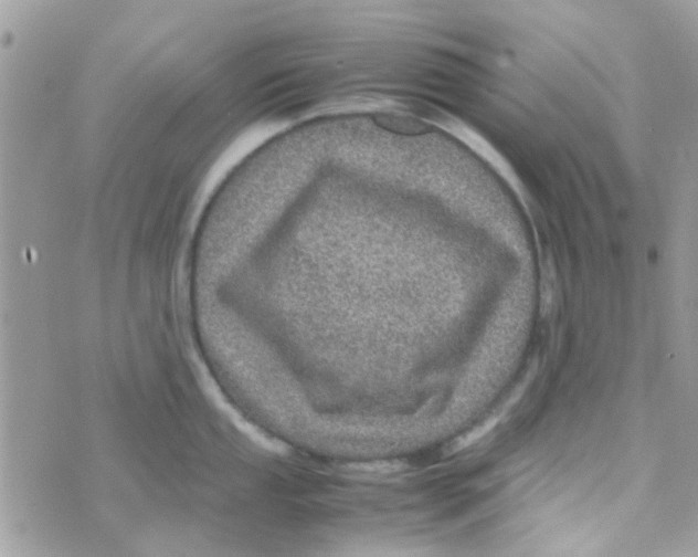 X0000070411053200606302031