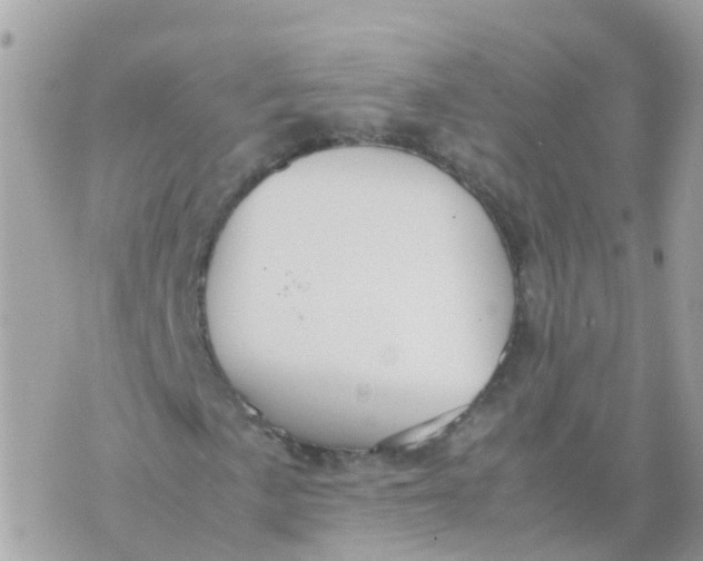 X0000070411057200606302031