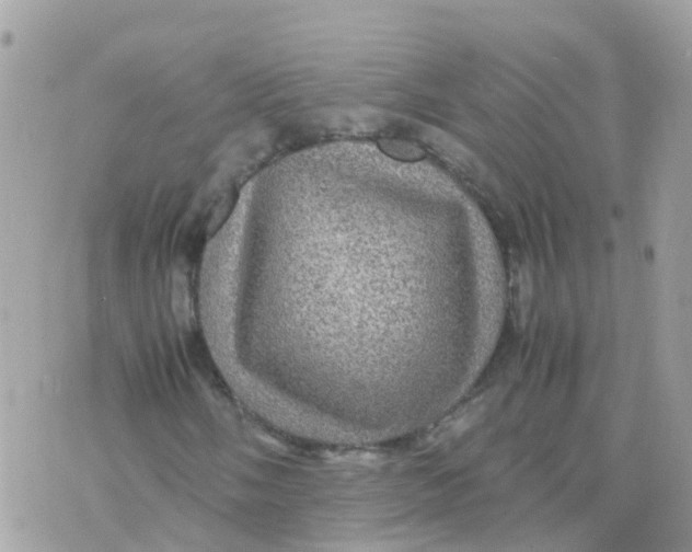 X0000070411058200606302031