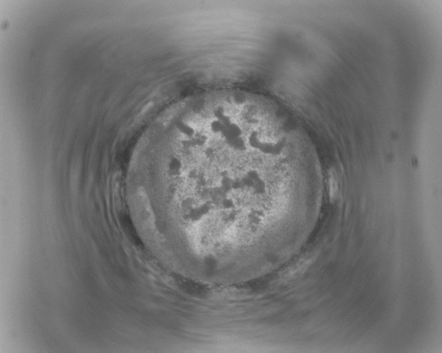 X0000070411059200606302031