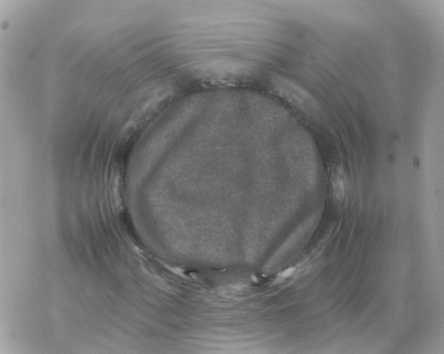 X0000070411060200606302031