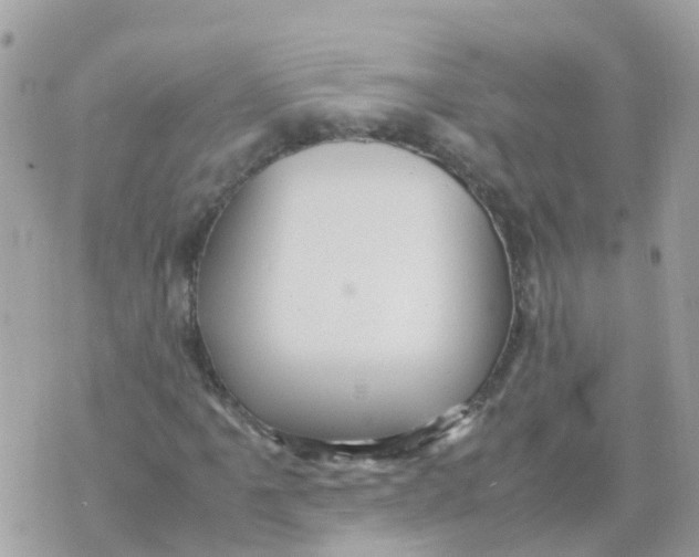 X0000070411061200606302031