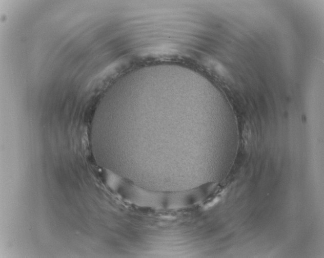 X0000070411062200606302031