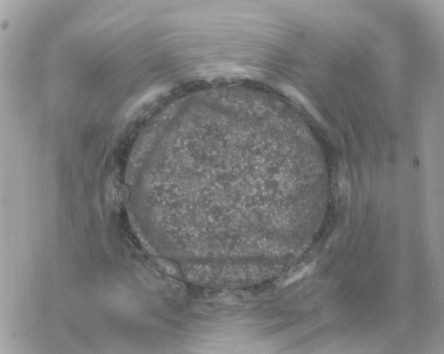 X0000070411063200606302030