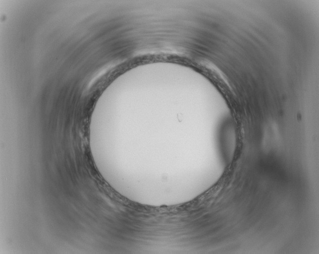 X0000070411064200606302030