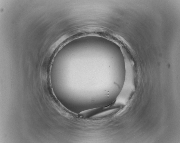 X0000070411065200606302030