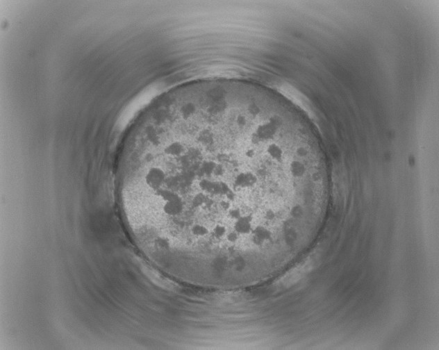 X0000070411067200606302030