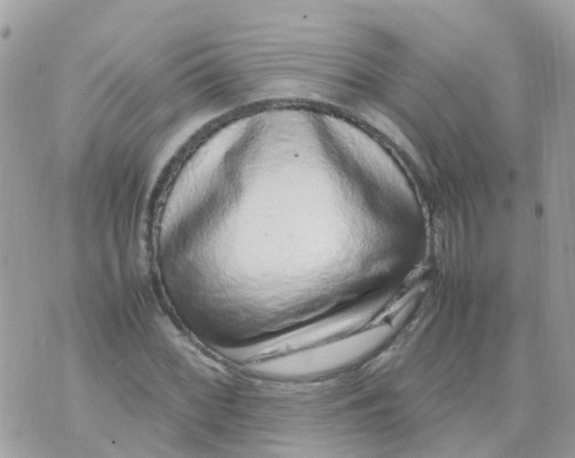 X0000070411068200606302030