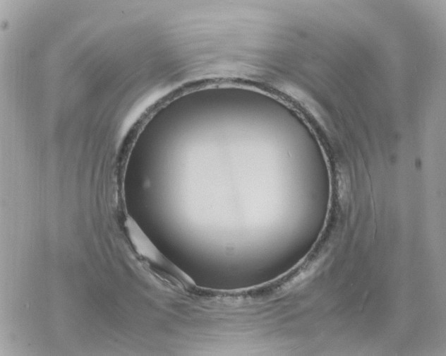 X0000070411069200606302030