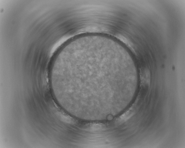 X0000070411070200606302030