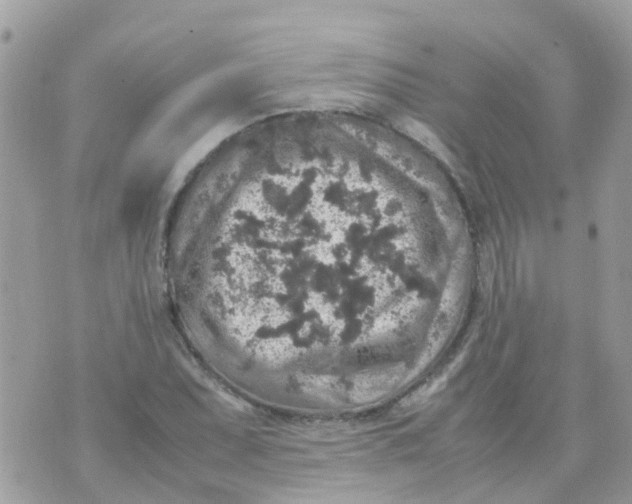 X0000070411071200606302030