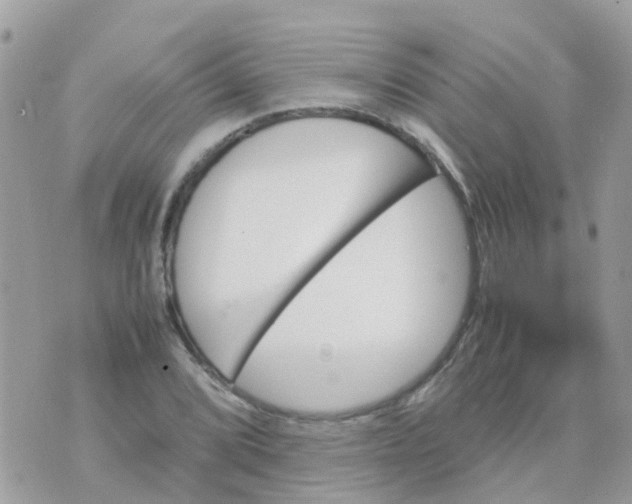 X0000070411072200606302030