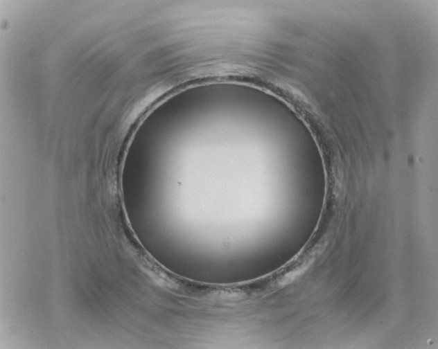 X0000070411073200606302030