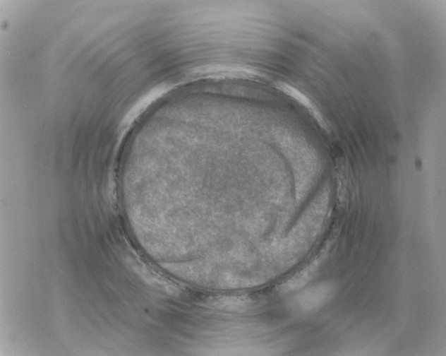 X0000070411074200606302030