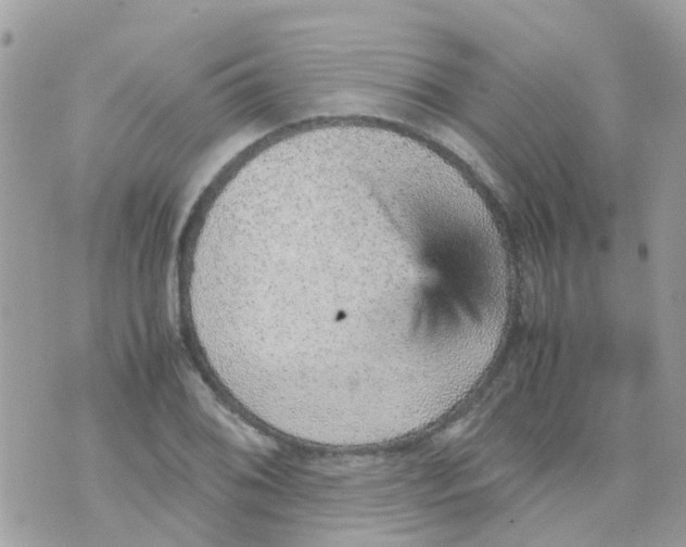 X0000070411076200606302030