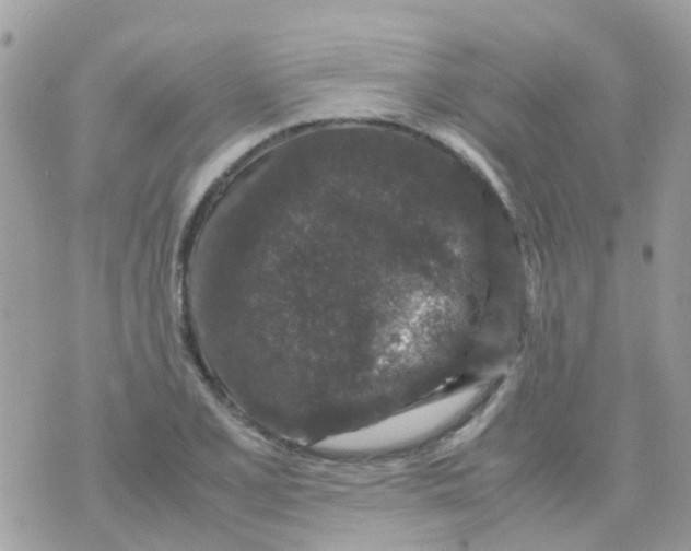 X0000070411077200606302030