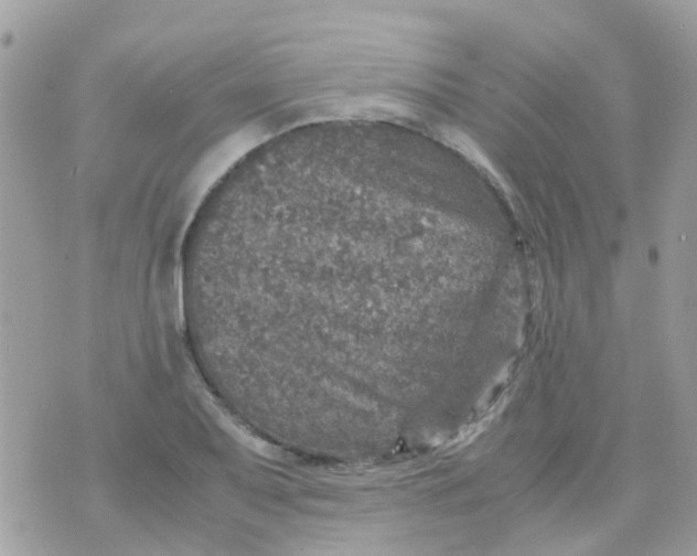 X0000070411079200606302030